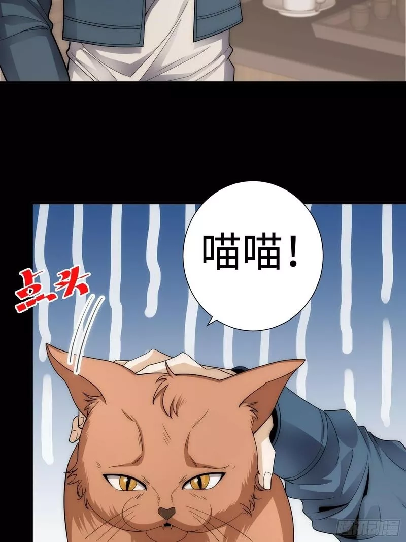 我真的好怕啊！,042 审判猫咪,第5张